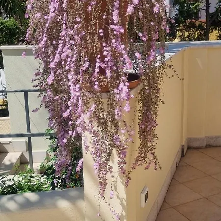מלון Daphne 4*