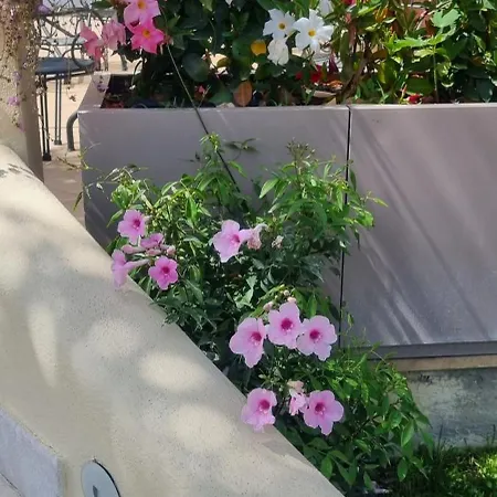 Daphne 4* Giardini-Naxos